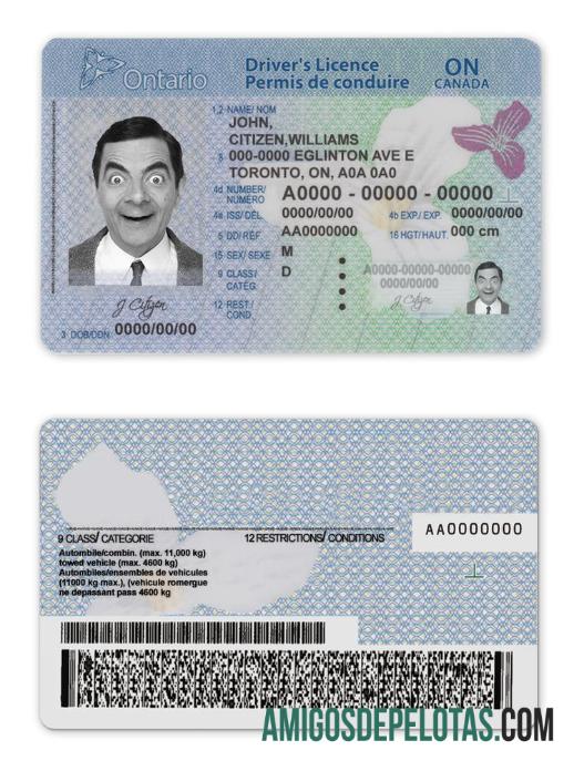 Canadá Ontário DL (2018 – presente) exemplo